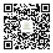 the qr code