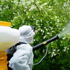 公园虫害综合治理