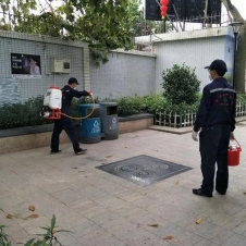 小区虫害综合治理