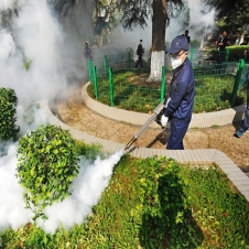 乐园虫害综合治理