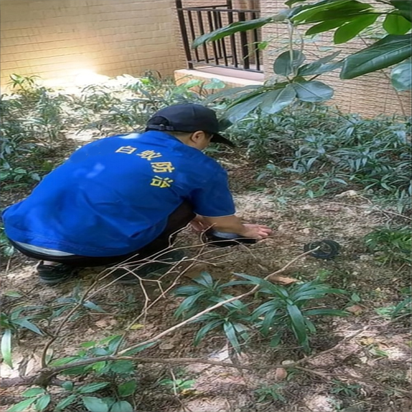 小区白蚁引诱防制