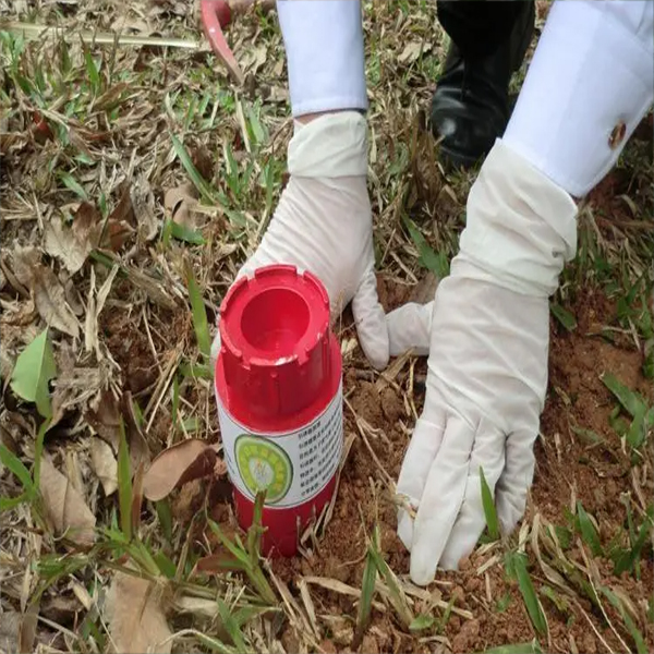 医院引诱白蚁装置