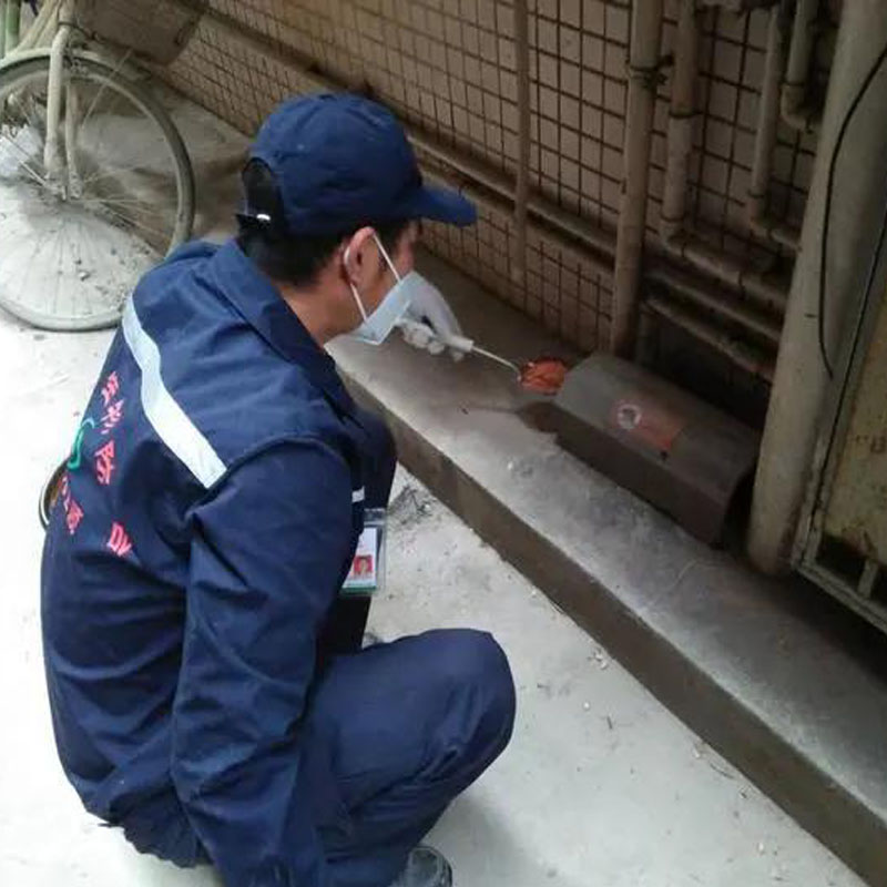酒店鼠害综合治理